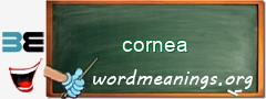 WordMeaning blackboard for cornea